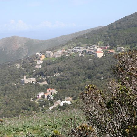 Ersa Hotel Le Saint Jean מראה חיצוני תמונה